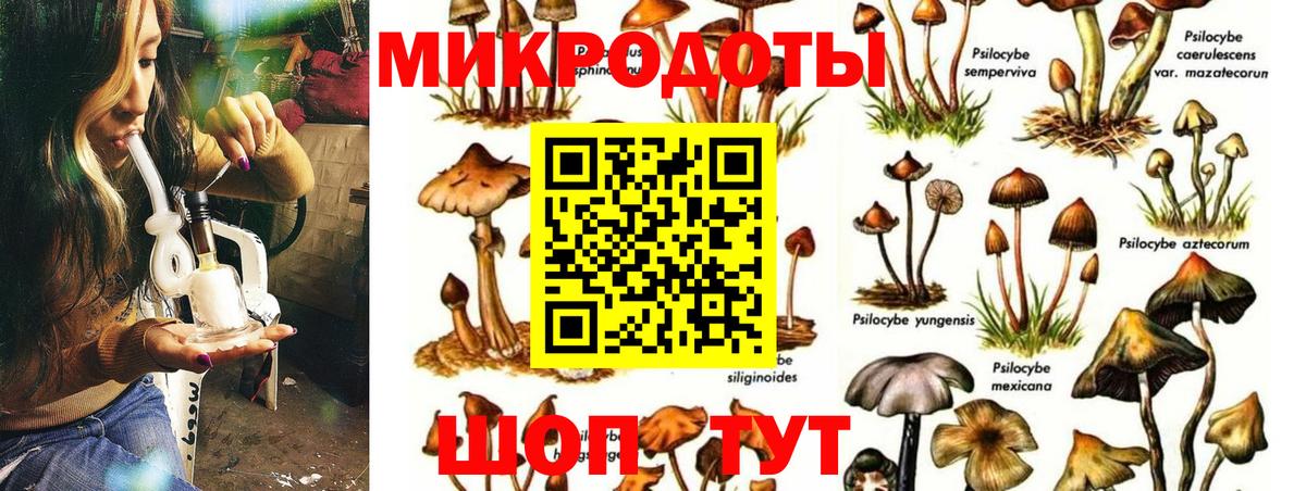 Псилоцибиновые грибы Magic Shrooms Свободный