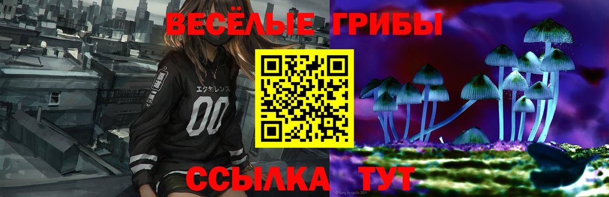 Свободный  Псилоцибиновые грибы MAGIC MUSHROOMS  Вход с VPN 